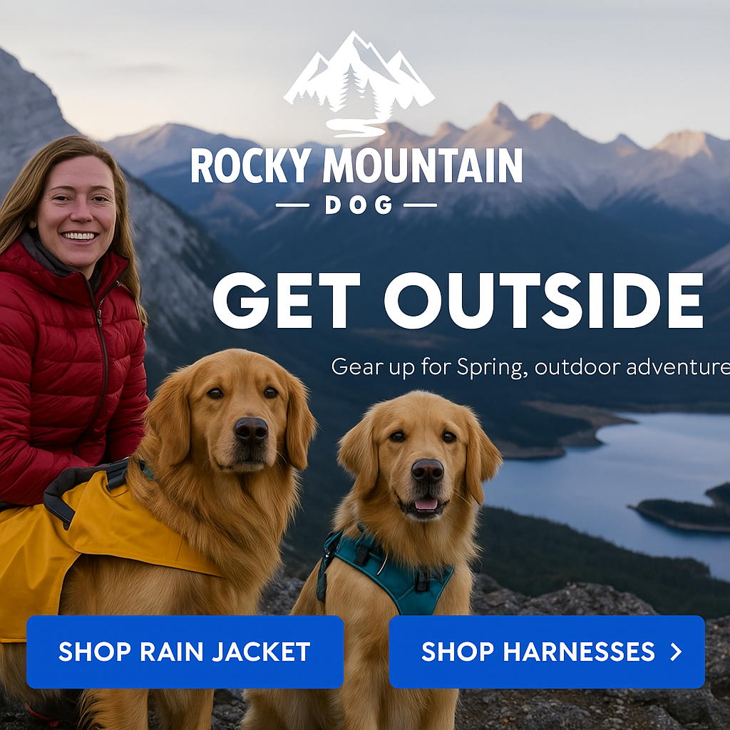 Must-Have Dog Hiking Essentials